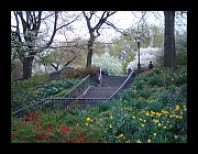 2010 Spring in Riverside Park w Billy-08